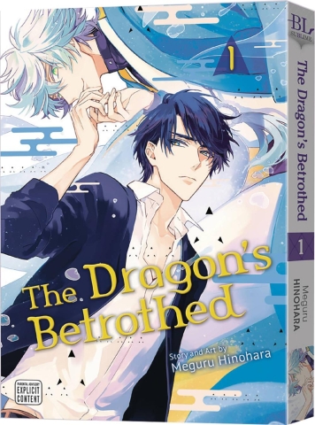 DRAGONS BETROTHED GN VOL 01 cover image