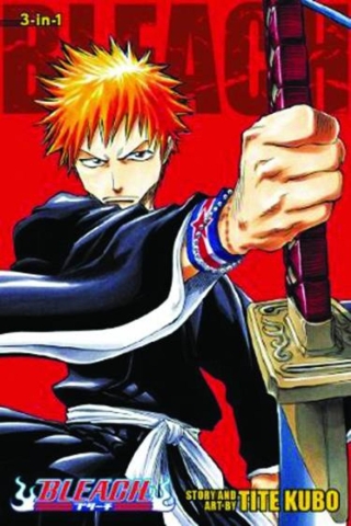 BLEACH 3IN1 TP VOL 01 cover image
