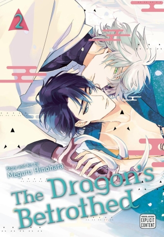 DRAGONS BETROTHED GN VOL 02 cover image