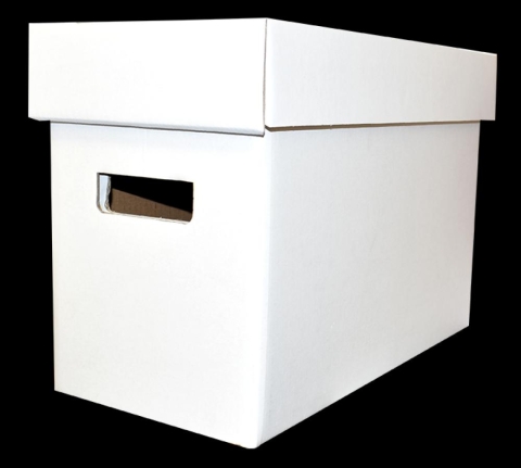 Guardhouse Comic Book Short Box cover image