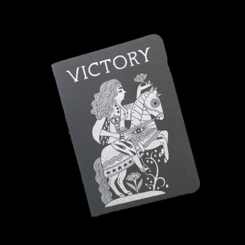 Illimat: Victory Book cover image
