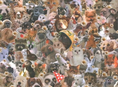 This Jigsaw is Literally Just Pictures of Cute Animals That Will Make You Feel Better cover image