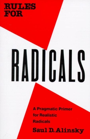 Rules for Radicals: A Pragmatic Primer for Realistic Radicals cover image
