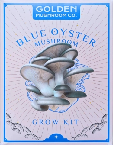 Golden Mushroom Co: Blue Oyster Grow Kit cover image