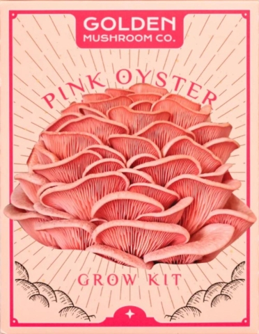 Golden Mushroom Co: Pink Oyster Grow Kit cover image