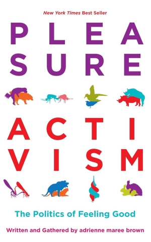 Pleasure Activism: The Politics of Feeling Good cover image