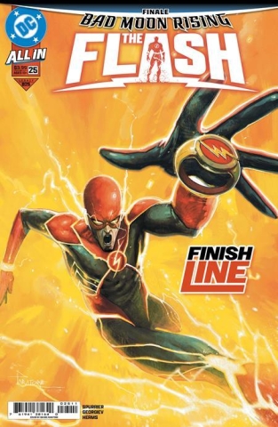 FLASH #25 cover image