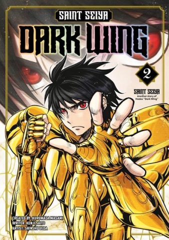 SAINT SEIYA DARK WING VOL2 cover image