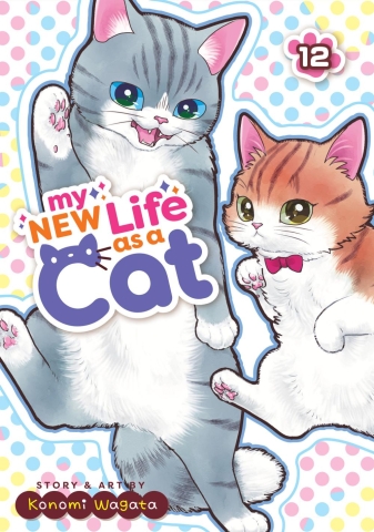 My New Life as a Cat Vol. 12 cover image