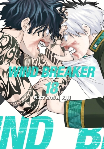 Wind Breaker 18 cover image