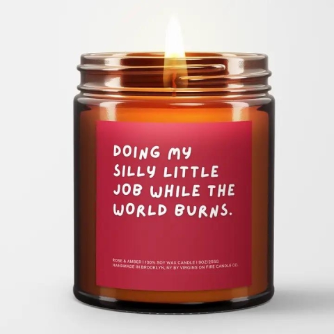 Virgins on Fire Candle: Doing my Silly Little Job while the World Burns cover image