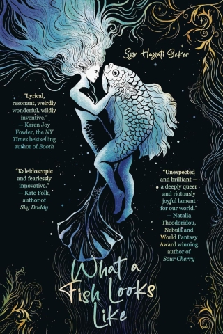 What a Fish Looks Like cover image