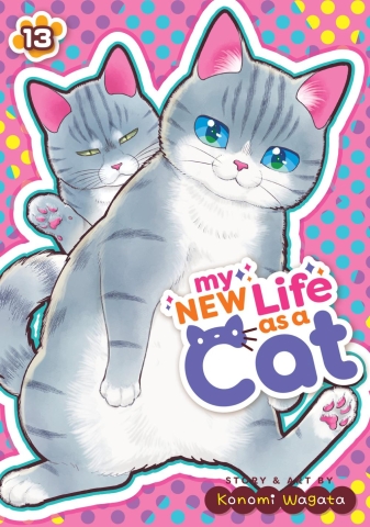 MY NEW LIFE AS A CAT TP VOL 13 cover image