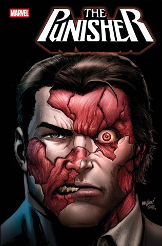 PUNISHER #2 cover image