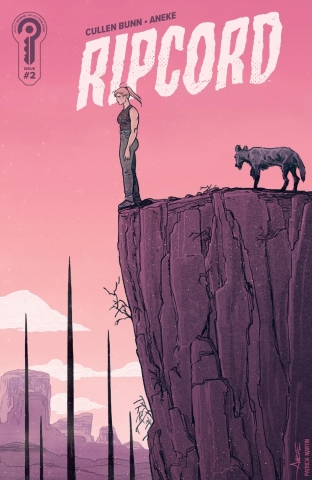 RIPCORD #2 COVER B ANEKE cover image