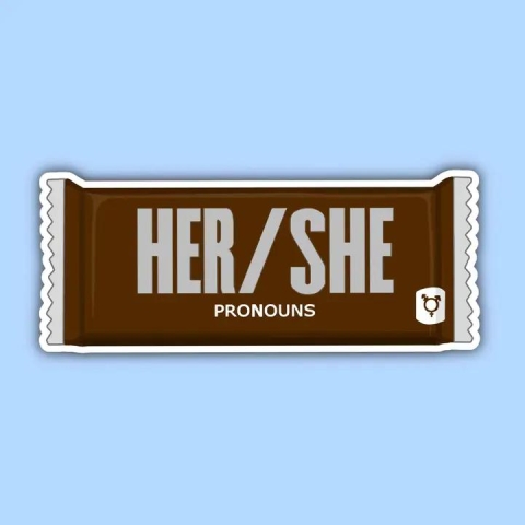 Noellita Bonita Pronoun Sticker: Her/She cover image