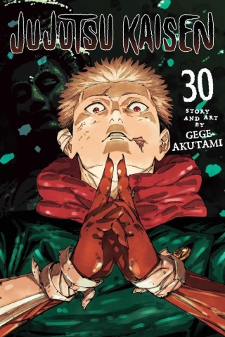 Jujutsu Kaisen Vol. 30 cover image