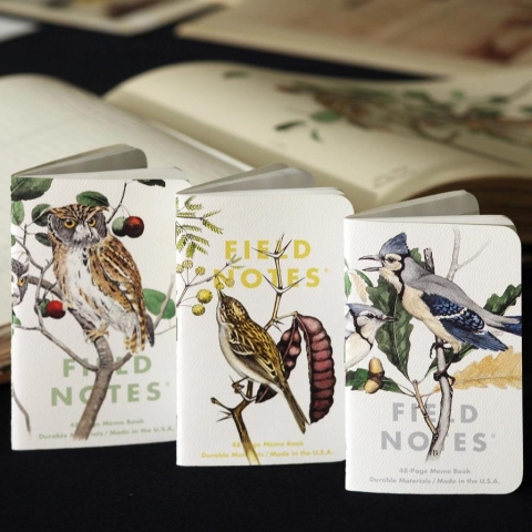 Field Notes: Memo Book — Birds and Trees of North America: Series A — Screech Owl / Blue Jay / Brewer Sparrow (3-Pack) cover image