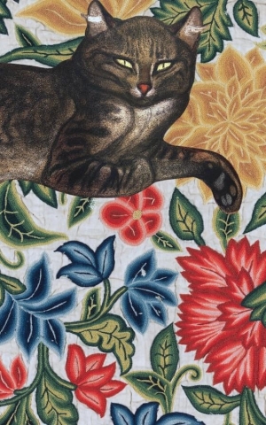 Sea to Skye Art Print 8x10: Lounging Cat cover image