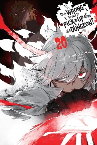 IS IT WRONG TO TRY TO PICK UP GIRLS IN A DUNGEON LIGHT NOVEL VOL 20 cover image