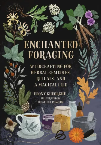 Enchanted Foraging: Wildcrafting for Herbal Remedies, Rituals, and a Magical Life cover image