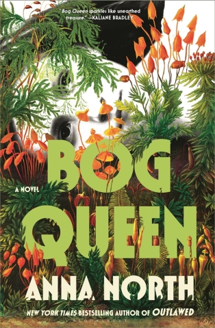 Bog Queen: A Novel cover image