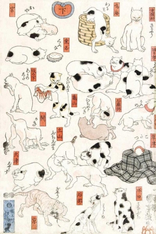 Rock Paper Scissors Wall Art 8x10: Utagawa Kuni — Cats Suggested as the Fifty-three Stations of the Tōkaidō (1847-1850) cover image