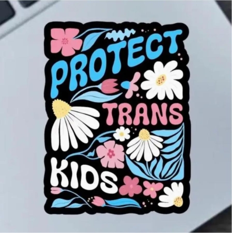Fable and Flame Co. Sticker: Protect Trans Kids cover image