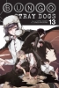 Bungo Stray Dogs Vol. 13 cover image