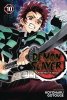 Demon Slayer: Kimetsu no Yaiba Vol. 10 cover image