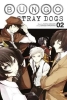 Bungo Stray Dogs Vol. 2 cover image