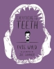 EVERYTHING IS TEETH GRAPHIC MEMOIR HC cover image