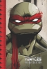 Teenage Mutant Ninja Turtles: The IDW Collection Vol. 1 (SC) cover image