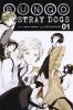 Bungo Stray Dogs Vol. 1 cover image