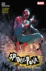 SPIDER-PUNK BANNED IN DC TP cover image