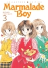 Marmalade Boy: Collector's Edition Vol. 3 cover image