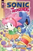 SONIC THE HEDGEHOG AMYS 30TH ANNIVERSARY SPECIAL COVER A HAMMERSTROM CVR A cover image