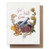 Small Victories - Get Well Soon Plantable Herb Seed Card cover image