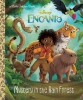 Disney Encanto: Mystery in the Rain Forest Little Golden Book  cover image