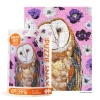 WerkShoppe - Barn Owl (100 Piece Puzzle Snax) cover image