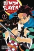 Demon Slayer: Kimetsu no Yaiba Vol. 1 cover image