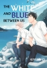 The White and Blue Between Us cover image