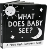 What Does Baby See? A First High-Contrast Board Book cover image