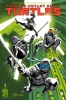 TEENAGE MUTANT NINJA TURTLES 2024 #1 COVER A ALBUQUERQUE cover image