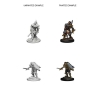Dungeons & Dragons: Nolzur's Marvelous Miniatures—Wave 3: Human Paladin (Male) cover image