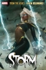 STORM #1 JEEHYUNG LEE VAR CVR B cover image