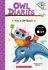 Owl Diaries Book 14: Eva at the Beach cover image