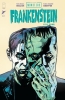 UNIVERSAL MONSTERS FRANKENSTEIN #4 CVR A MICHAEL WALSH OF 4 cover image
