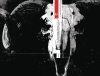 BLACK MONDAY MURDERS TP VOL 01 ALL HAIL GOD MAMMON cover image