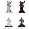 Dungeons & Dragons: Nolzur's Marvelous Miniatures - Green Hag & Night Hag cover image